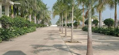 Image of 1499 Sq.ft Residential Plot / Land for sale in Krish Shagun Residency, Nardaha, Raipur for Rs. 3000000