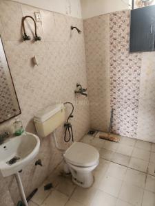 Bathroom Image of 1455 Sq.ft 3 BHK Apartment / Flat for rent in SRS Royal Hills, Sector 87 Faridabad for Rs. 32000