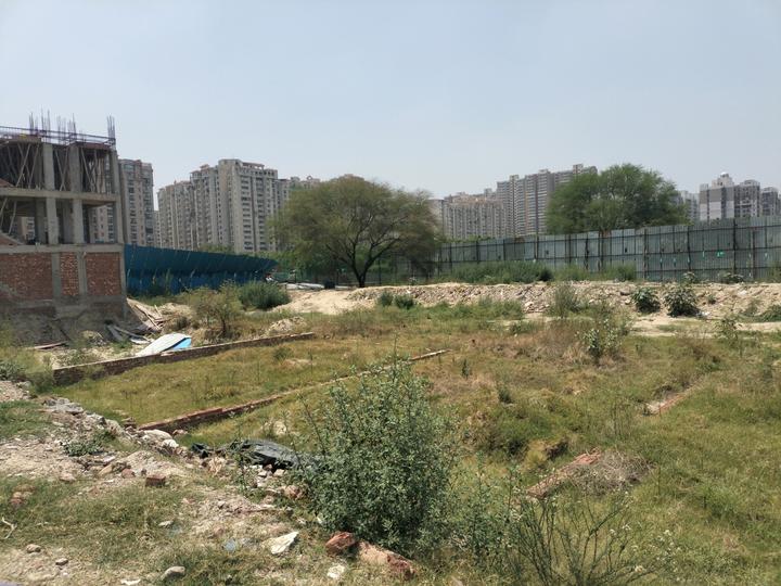Freehold Plots in Central Noida Main Image 1