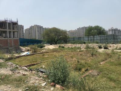 Freehold Plots in Central Noida Plot View 1