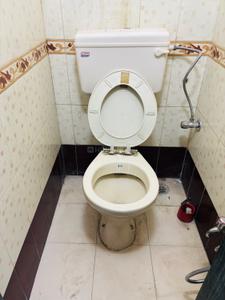 Bathroom Image of 250 Sq.ft 1 RK Apartment / Flat for rent in Worli Mumbai for Rs. 38000