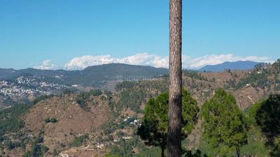 Image of 2160 Sq.ft Residential Plot / Land for sale in Mukteshwar, Nainital for Rs. 4500000