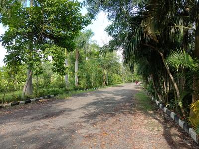 Image of 720 Sq.ft Residential Plot / Land for sale in Amtala, Kolkata for Rs. 320000
