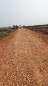 Image of 1800 Sq.ft Residential Plot / Land for sale in Patrapada, Bhubaneswar for Rs. 3240000