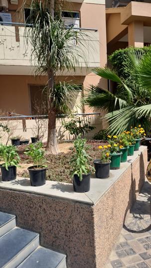 Bestech Park View Residency Main Image 1