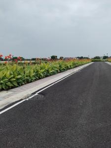 Image of 1287 Sq.ft Residential Plot / Land for sale in Dameera City, Maujpur, Faridabad for Rs. 12300000