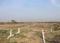 Vindhane Main Image 1