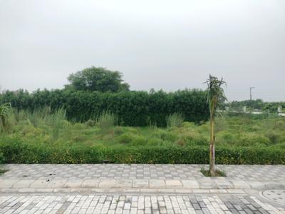 Image of 180 Sq.ft Residential Plot / Land for sale in Mansha Orchid, Khera Village, Faridabad for Rs. 13680000