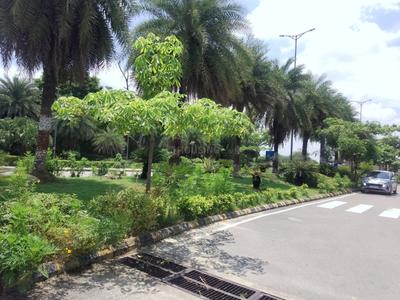 Image of 3300 Sq.ft Residential Plot / Land for sale in DLF Garden City, Mohanlalganj, Lucknow for Rs. 26400000