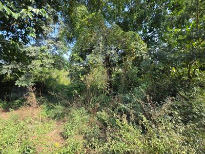 Image of 100 Sq.ft Residential Plot / Land for sale in Pinjore, Panchkula for Rs. 8500000