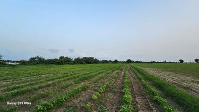 Image of 10000 Sq.ft Residential Plot / Land for sale in Becharaji, Mehsana for Rs. 5000000