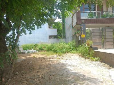 Sector 23 Plot View 2