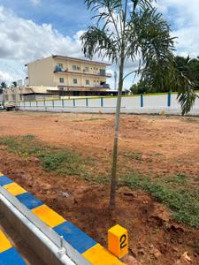 Image of 1800 Sq.ft Residential Plot / Land for sale in Mathur, Pudukkottai for Rs. 6480000