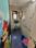 aashish co op housing socety amrut nagar ghatkopar west Bathroom 1