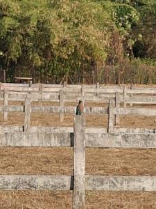 Image of 5091 Sq.ft Residential Plot / Land for sale in Karjat, Thane for Rs. 10182000