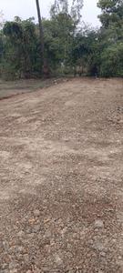 Nevri Plot View 2