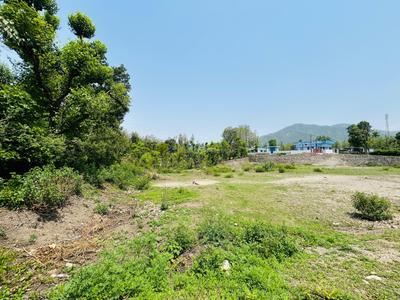 Badasi Green Plot View 2
