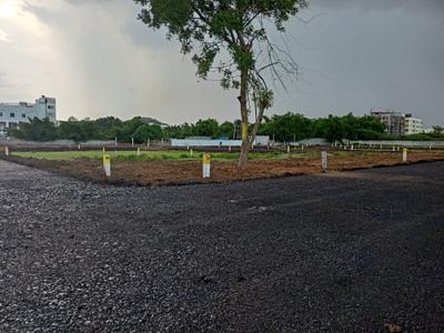 Plot View