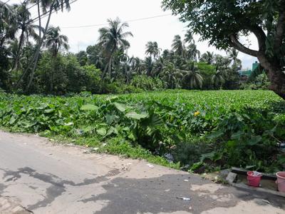 Image of 86400 Sq.ft Residential Plot / Land for sale in Baruipur, Kolkata for Rs. 65000000