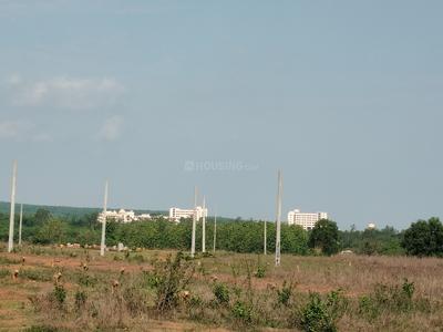 Image of 1650 Sq.ft Residential Plot / Land for sale in Trisulia, Cuttack for Rs. 2500000