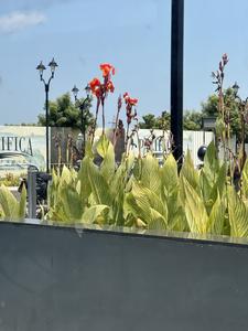 Image of 1000 Sq.ft Residential Plot / Land for sale in Narasingapuram, Poonamallee, Chennai for Rs. 4500000