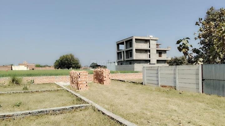 Rohania Main Image 1