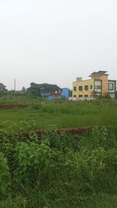 Gudia Pokhari Plot View 3