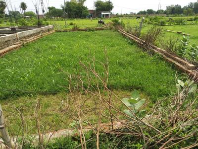 Image of 11152 Sq.ft Residential Plot / Land for sale in Kushehri, Unnao for Rs. 1200000