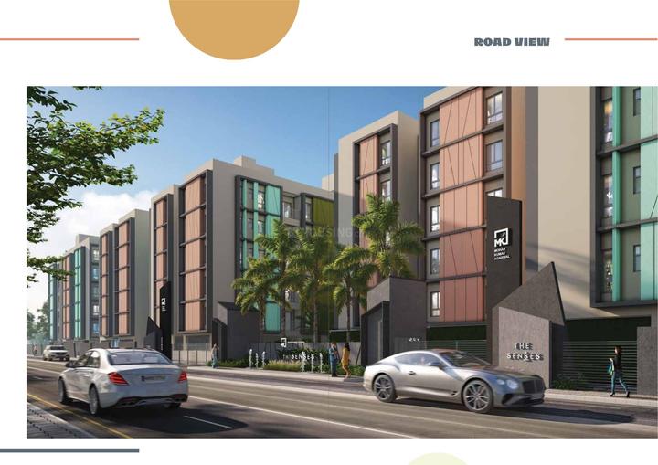 The Senses Main Image 1