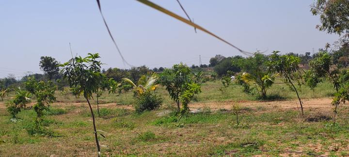 Keesara Main Image 1