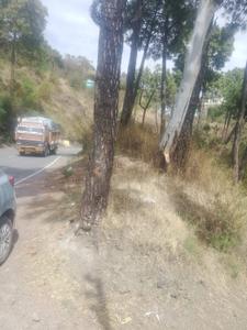 Image of 290 Sq.ft Residential Plot / Land for sale in Lalpani, Shimla for Rs. 3800000