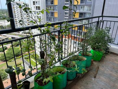 Balcony Image of 1821 Sq.ft 3 BHK Apartment / Flat for rent in Kanathur Reddikuppam Chennai for Rs. 50000