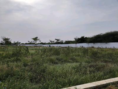 Residential Plot