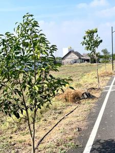 Image of 1925 Sq.ft Residential Plot / Land for sale in Athipalayam, Coimbatore for Rs. 4862000
