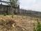 Windmill Village Main Image 1