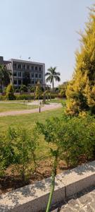 Image of 1100 Sq.ft Residential Plot / Land for sale in Maina Anmol Orchid, Kanadiya, Indore for Rs. 5060000