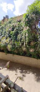 Balcony Image of 2760 Sq.ft 3 BHK Apartment / Flat for sale in NR Orchid Gardenia by NR Greenwood Construction Pvt Ltd, Jakkur Bengaluru for Rs. 35000000