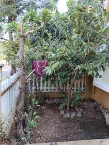 Balcony Image of 2200 Sq.ft 3 BHK Independent House for sale in Namrata Flora City, Talegaon Dabhade Pune for Rs. 15500000