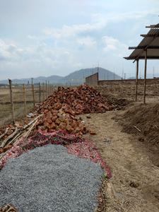 Borjhar Plot View 2