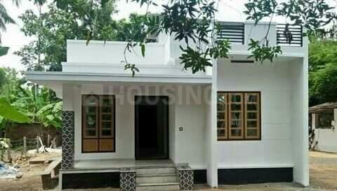 Oak Tree Main Image 1