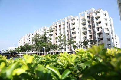 3 BHK Flat