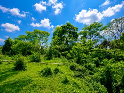 Image of 200 Sq.ft Residential Plot / Land for sale in Hathibarkala Salwala, Dehradun for Rs. 20000000