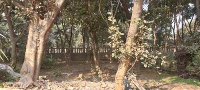 Image of 1292 Sq.ft 2 BHK Independent House for sale in Sector Xu 2, Greater Noida for Rs. 21800000