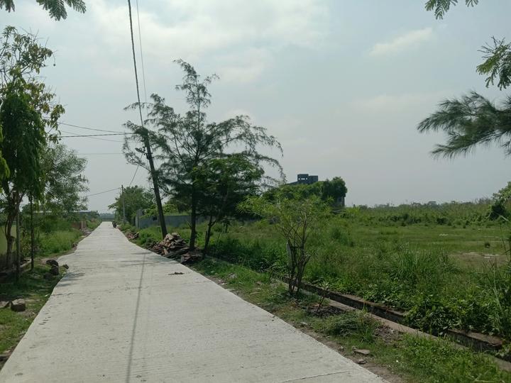 Apparent JB Garden Main Image 1