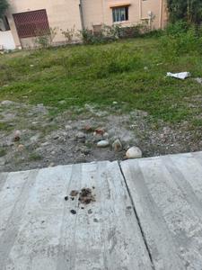Image of 1350 Sq.ft Residential Plot / Land for sale in Khadri Khadakmaf, Rishikesh for Rs. 3800000