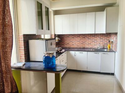 Kitchen Image of 1319 Sq.ft 3 BHK Apartment / Flat for rent in Jaypee Aman, Sector 151 Noida for Rs. 19999