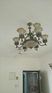 Hall Image of 1450 Sq.ft 3 BHK Apartment / Flat for rent in Premier Urban, Sector 14 Gurgaon for Rs. 50000