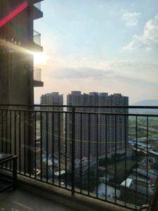 Living Room Image of 654 Sq.ft 1 BHK Apartment / Flat for sale in Shapoorji Pallonji Vanaha, Bavdhan Pune for Rs. 5400000