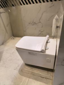 Common Bathroom Image of 670 Sq.ft 2 BHK Apartment / Flat for sale in Signature Global The Roselia, Sector 95A Gurgaon for Rs. 5900000