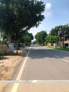 Image of 3767 Sq.ft 1 BHK Independent House for sale in Delta III, Greater Noida for Rs. 43000000